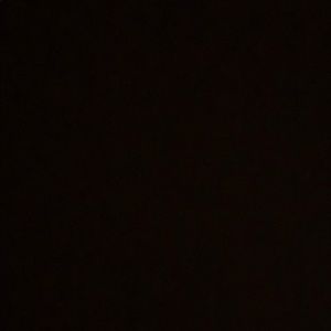 Meet your Posher, Bailey